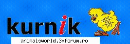 bun site ... dar categoria de jocuri nu e inca gata ... si nu am ce face ... va recomand un site cu